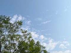 -城外有星光桥舍(南山店)