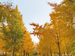 -纪家庙(地铁站)