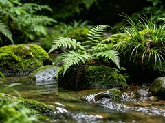 -青城山