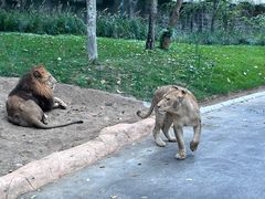 -北京野生动物园