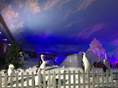 -世界之窗阿尔卑斯冰雪世界