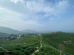 -龙坞茶村