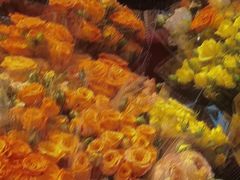 -循礼门鲜花花市(武汉循礼门店)