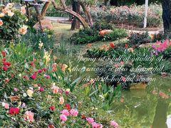 -人民公园(罗湖区)