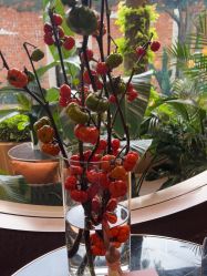 -花隐·美芙炫海菲秀皮肤管理中心