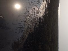 iphone_upload_pic-北海金海湾红树林生态旅游区