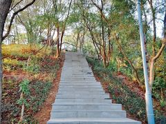 -金鸡山公园