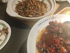 -三强鸽子(中原路店)