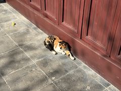 -西园戒幢律寺