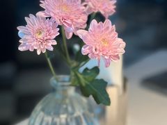 -夏朵花园(复兴西路店)