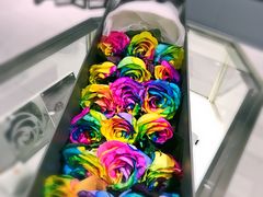 -ROSEONLY诺誓(沈阳万象城店)