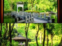 -深圳国际园林花卉博览园