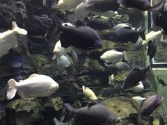 -成都浩海立方海洋公园