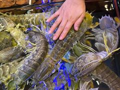 -吴记富苑(朝阳店)