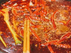 -蜀大侠火锅(建设路第五大道店)