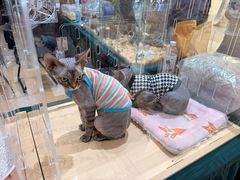 -万达广场(宝山店)