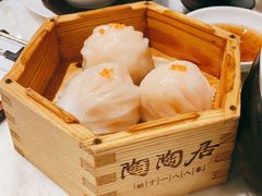陶陶居大虾饺-陶陶居·雅园(凯华国际店)