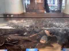 -上名堂·鱼头好吃(体育场路店)