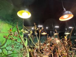 -Zoolung Zoolung动物主题公园(海信广场店)