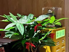 -聆耳·采耳·按摩·SPA(会展中心店)