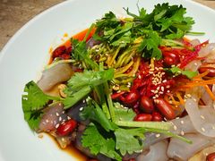 西北大拉皮-佬肥猫(七宝宝龙店)