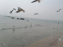 -老虎石海上公园