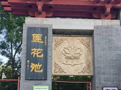 -莲花池公园