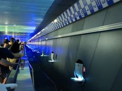-白鹤梁水下博物馆