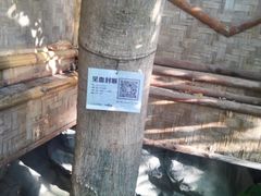 -北京植物园-展览温室