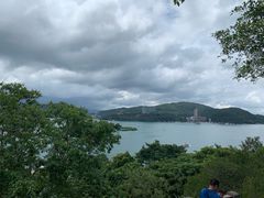 -金盆阿嬷香菇茶叶蛋(玄光店)