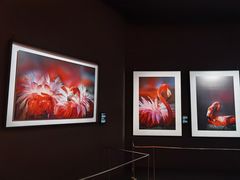 -罗红摄影艺术馆