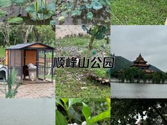 -顺峰山公园