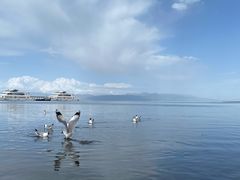 -青海湖国家重点风景名胜区