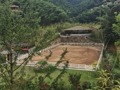 -宁海安岚·南溪阁全日餐厅