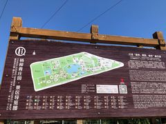 -杨柳青庄园