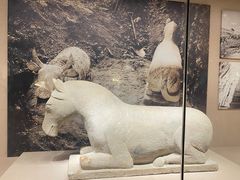 -宁夏博物馆