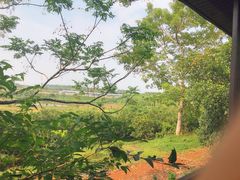 -侯臣咖啡文化村