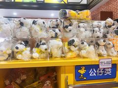 -史努比缤纷世界