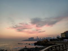 -青岛海景花园大酒店·白果树餐厅青岛菜