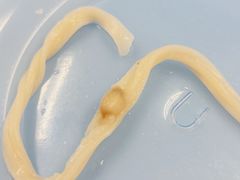 -陳香貴·兰州牛肉面(上滨生活广场店)