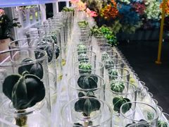 -KKV(深圳宏发大仟里店)