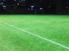 -燕子岗体育场