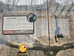 -南昌动物园