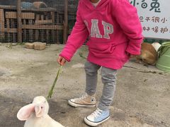 -青瓦房古村落