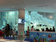 -帝企鹅自助餐厅•儿童岛•真企鹅(长隆企鹅酒店)