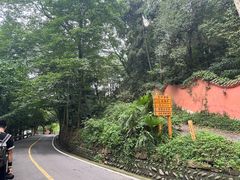 -凤栖山
