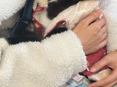 -平行世界·猫咖(首经贸店)