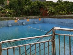 -思远客家菜馆(巴伐利亚店)