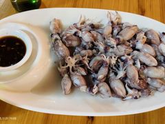 白灼小鱿鱼-舌尖上·霞浦滩涂海鲜(总店)