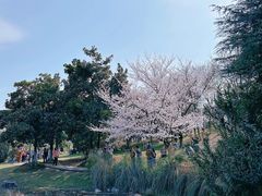 -堤角公园